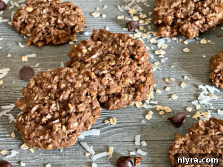 Horizontal photo of Chocolate Oatmeal Coconut Cookies ready to eat