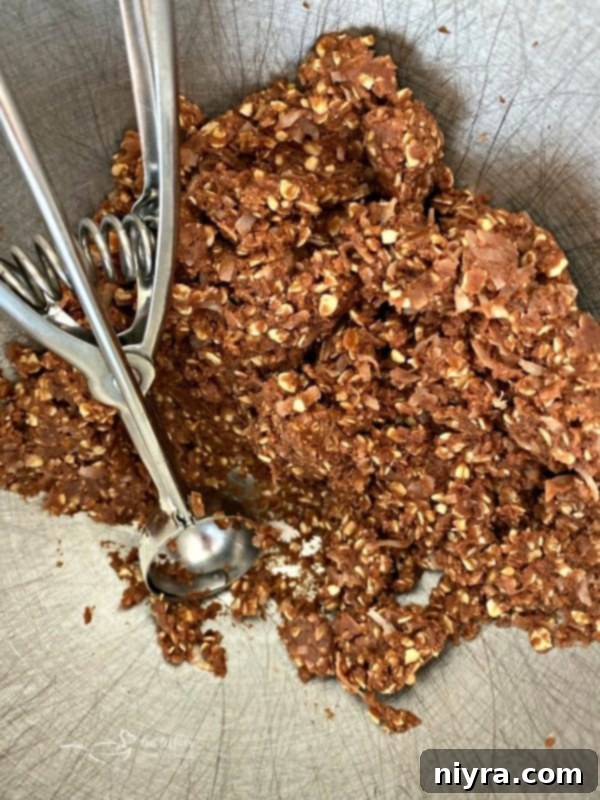 Close-up of Chocolate Oatmeal Coconut Cookies batter in a bowl