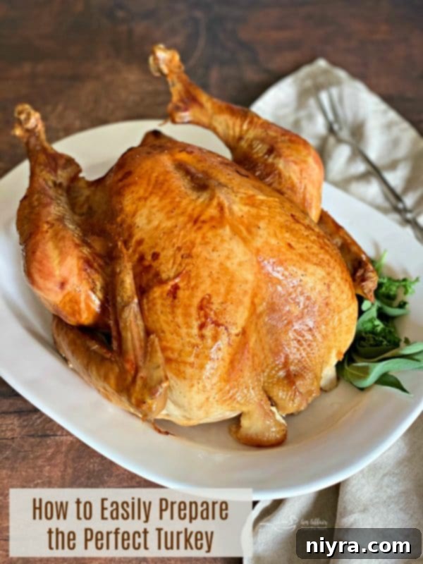 The perfect golden-brown roasted turkey, ready to be served for Thanksgiving
