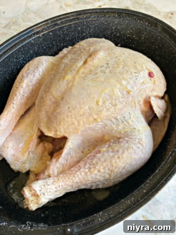 Preparing the turkey: basted with butter and seasoned with salt and pepper