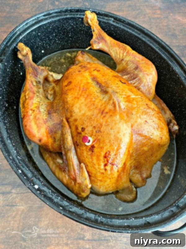 Turkey roasting in a deep roaster pan, demonstrating the cooking process for perfect results