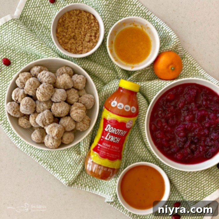 Dorothy's Zesty Cranberry Meatballs 5 Dorothy's Cranberry Meatballs ingredients