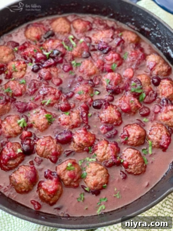 Dorothy's Zesty Cranberry Meatballs 7 Dorothy's Cranberry Meatballs in skillet