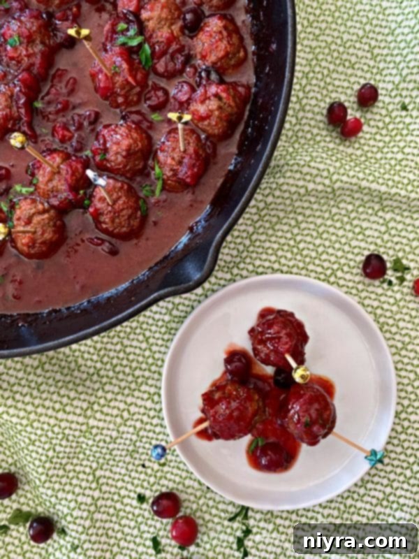 Dorothy's Zesty Cranberry Meatballs 8 Dorothy's Cranberry Meatballs top view