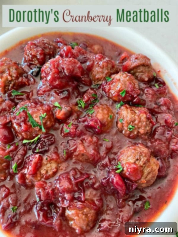 Dorothy's Zesty Cranberry Meatballs 10 Dorothy's Cranberry Meatballs HERO