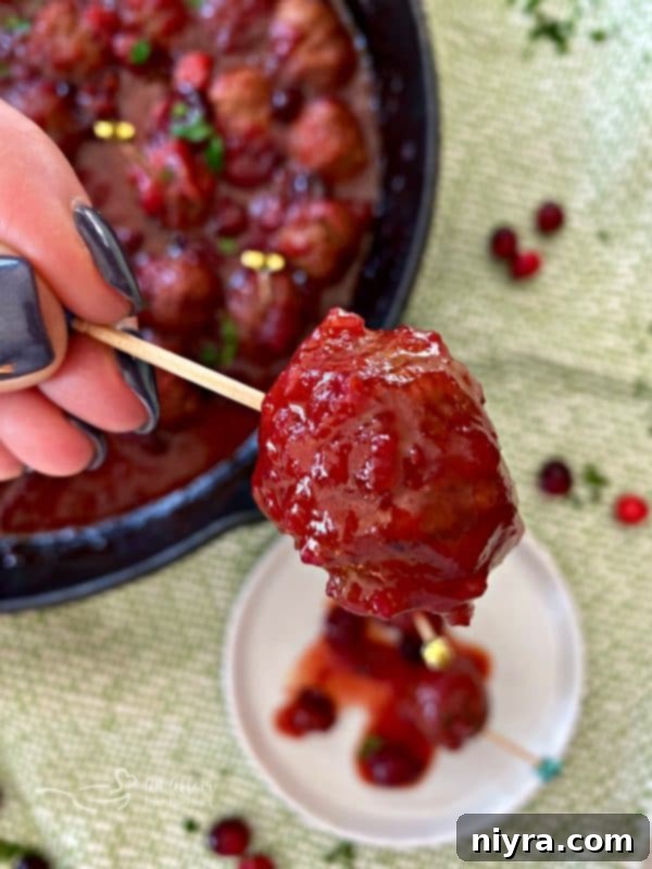 Dorothy's Zesty Cranberry Meatballs 4 Dorothy's Cranberry Meatball on toothpick
