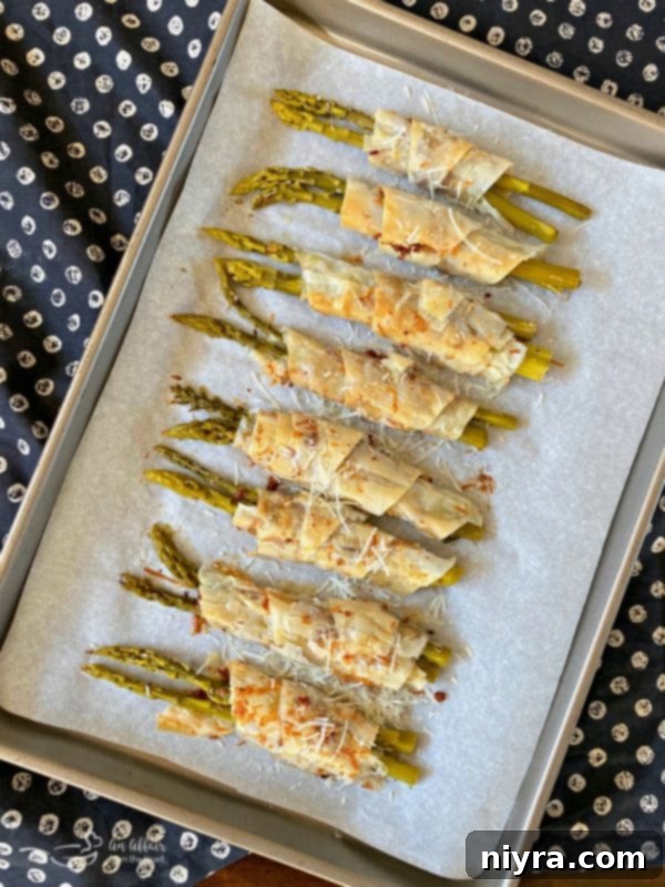 Baked Bacon & Cheese Phyllo Wrapped Pickled Asparagus on a cookie sheet