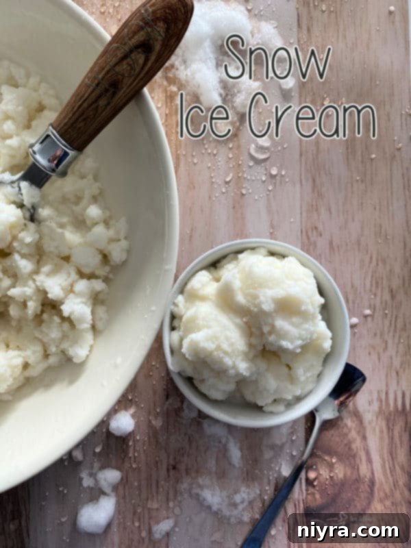 A bowl of snow ice cream on a snowy background.