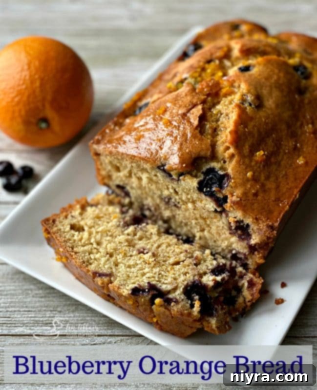 Zesty Orange Blueberry Loaf 11 A beautifully presented Blueberry Orange Bread loaf, ready to be served.