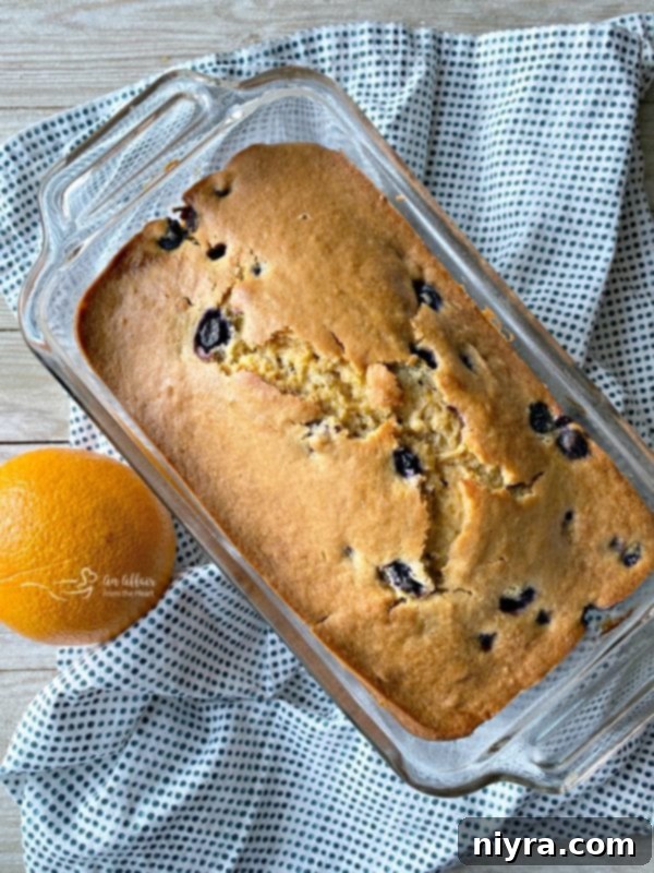 Zesty Orange Blueberry Loaf 8 A freshly baked Blueberry Orange Bread loaf just out of the oven.