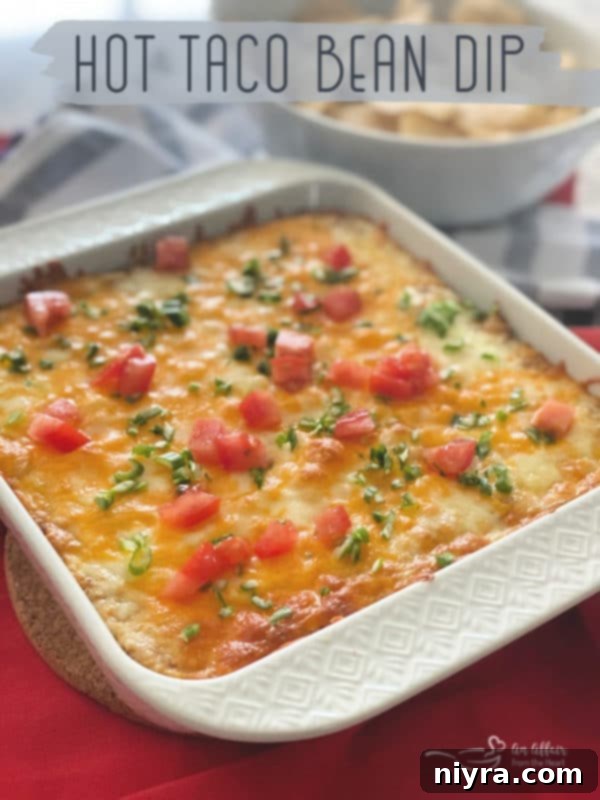 An appetizing close-up of Hot Taco Five Bean Dip in a small white serving dish, garnished with fresh toppings, with a wooden spoon resting nearby.