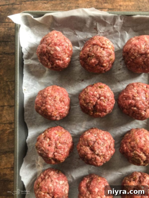 Salisbury Meatballs 11 Salisbury Steak Meatballs ready for skillet