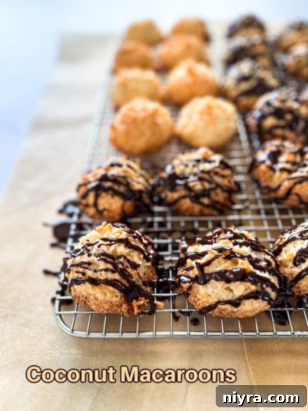 Hero shot of a plate of chocolate-drizzled coconut macaroons