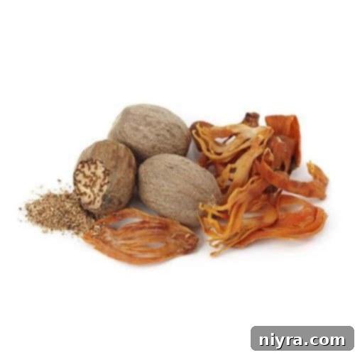 Artisan Pumpkin Pie Spice Mix 4 Close-up of whole mace blades, showing their distinctive lacy appearance.