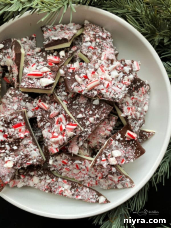 Serving bowl of perfectly broken white and dark chocolate peppermint bark pieces, ready to be enjoyed as a holiday treat.