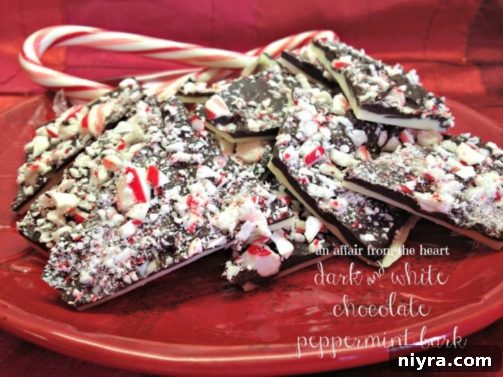 Side view of vibrant peppermint bark on a red plate, adorned with candy canes, emphasizing the "dark and white chocolate peppermint bark" concept.