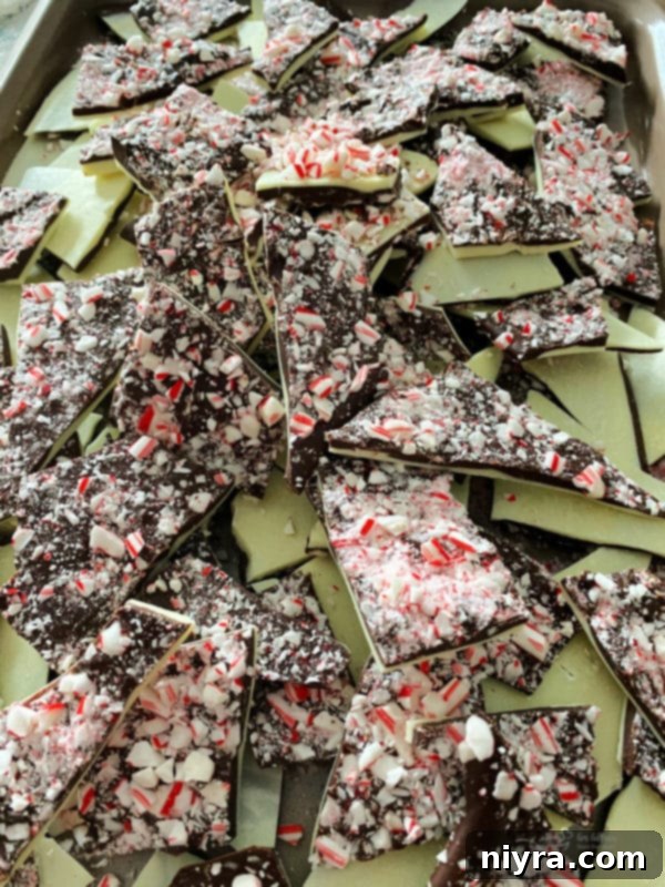Artistically broken pieces of white and dark chocolate peppermint bark, ready for a close-up.