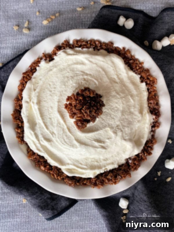 Chocolate Marshmallow Pie with ice cream and extra crust garnish
