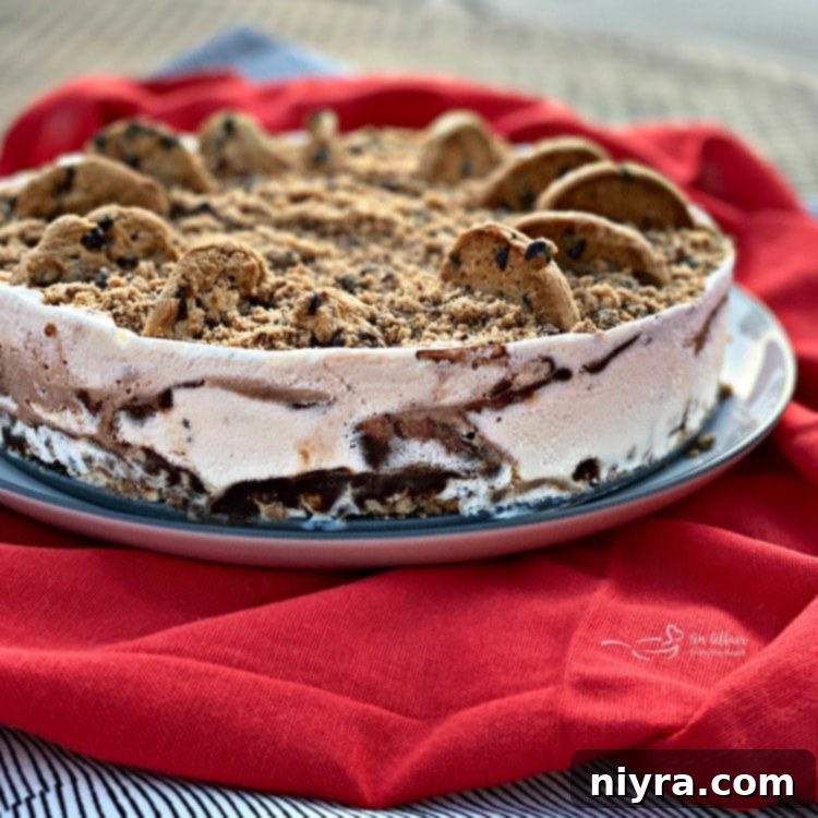 Side view of the chocolate chip cookie dough ice cream cake