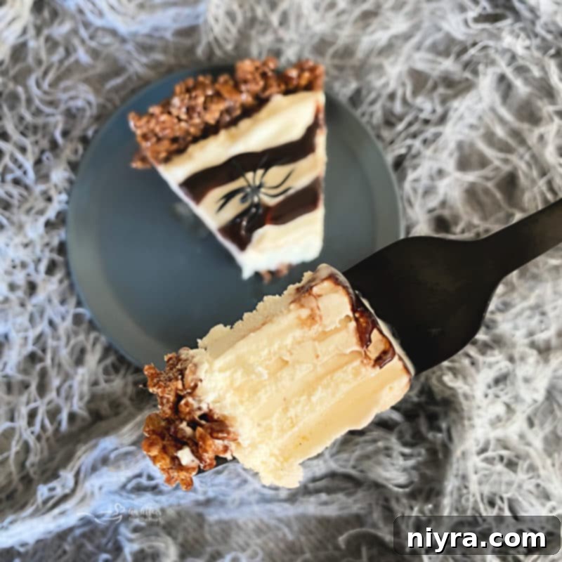 Full view of the Spider Web Ice Cream Pie