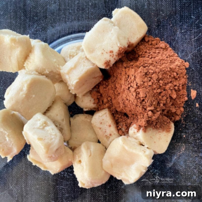 Sugar cookie dough being mixed with cocoa powder