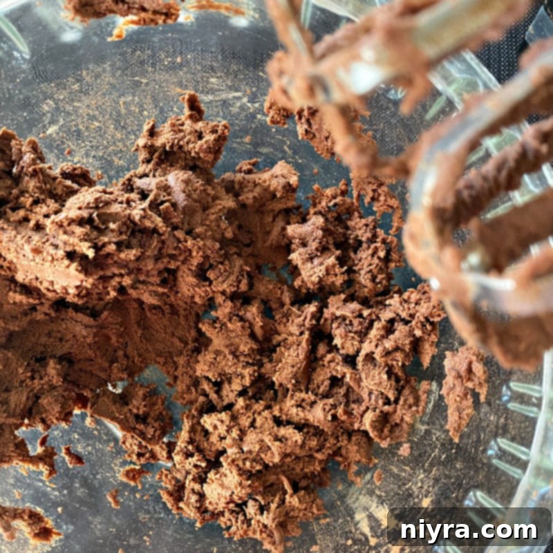Chocolate cookie dough rolled into balls on a baking sheet