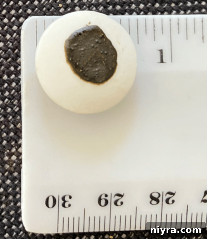 A chocolate sugar cookie with a large candy eyeball