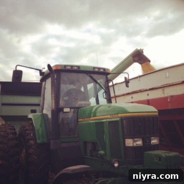 Vintage photo of a man in a field