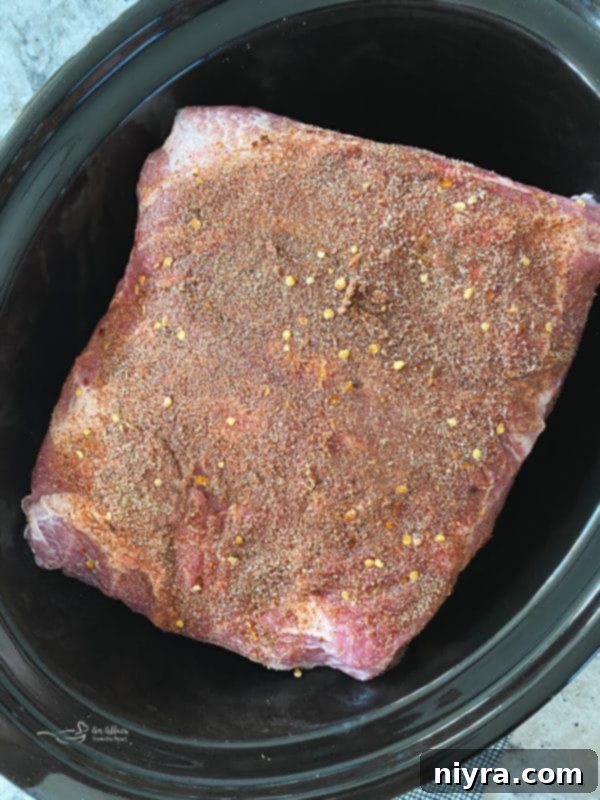 Pork butt placed in slow cooker with liquids