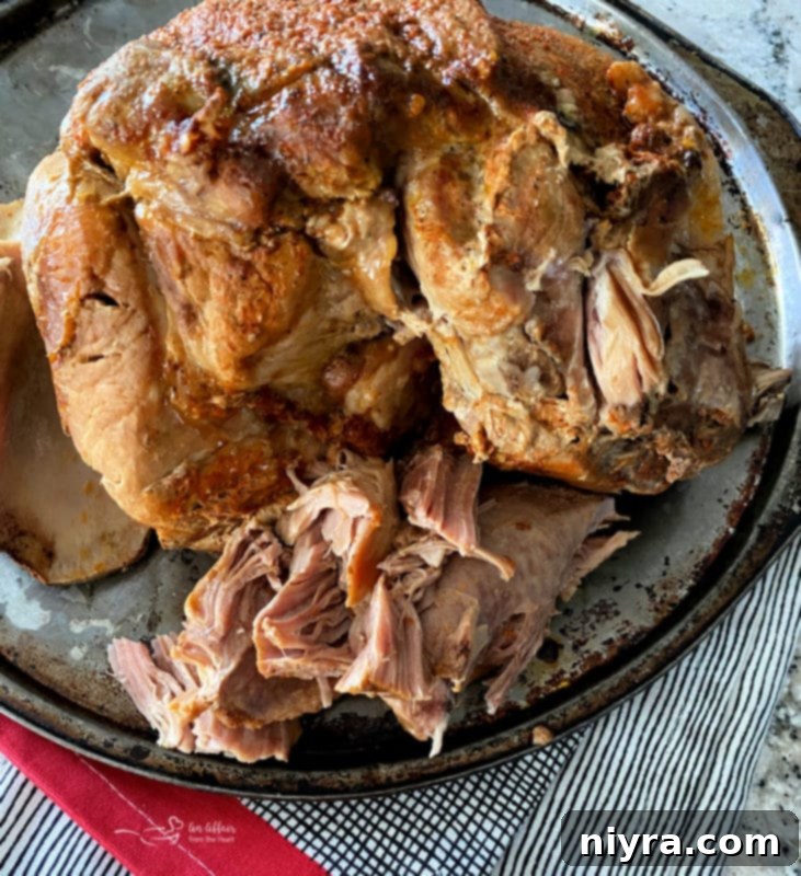 Cooked buffalo pulled pork, falling apart