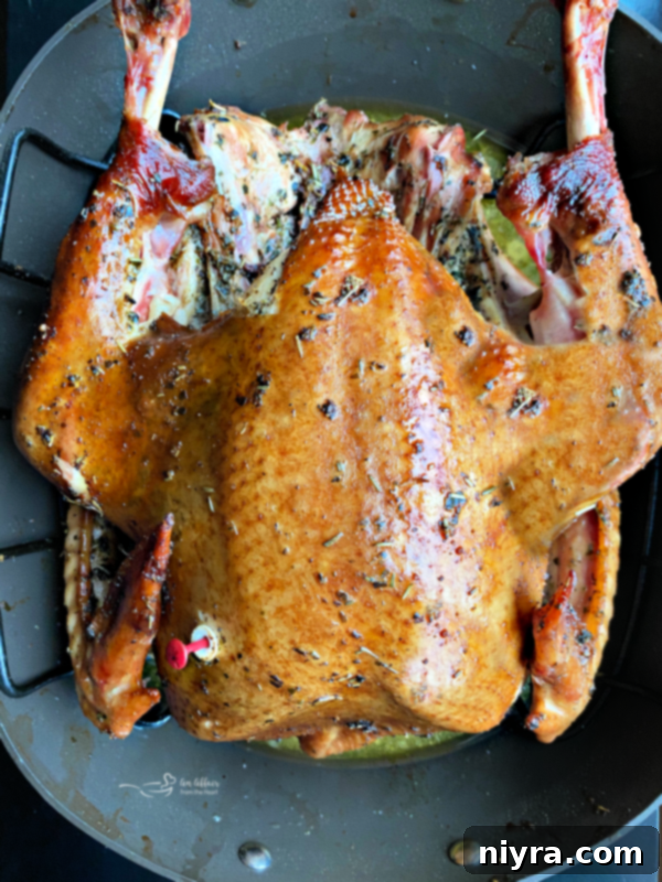 A whole smoked turkey with golden-brown skin, sitting on a roasting rack.