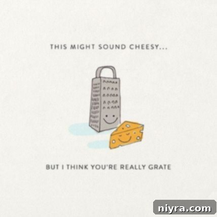 Various types of cheese graters displayed.