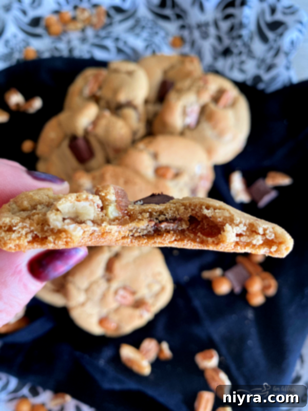 A freshly baked Turtle Cookie, warm and inviting, showcasing its irresistible texture.