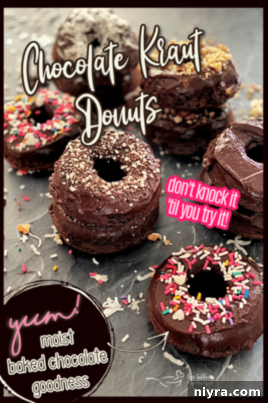 Chocolate Kraut Rings of Wonder 11 Pinterest pin graphic for Chocolate Kraut Donuts