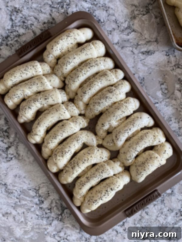 Brushing risen poppyseed rolls with egg wash and sprinkling poppy seeds