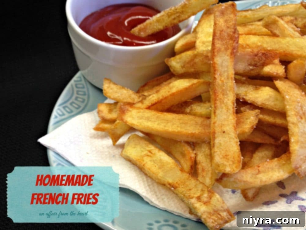 Perfectly Crispy Homemade French Fries 19 close up of french fries and a small bowl of ketchup on a plate with text "homemade french fries"