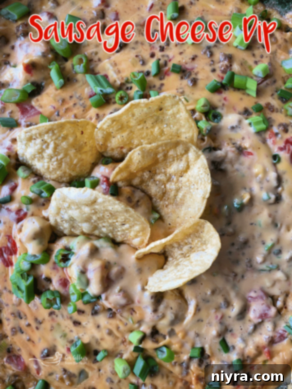 Ultimate Sausage Cheese Dip 10 Sausage Cheese Dip ready to be served