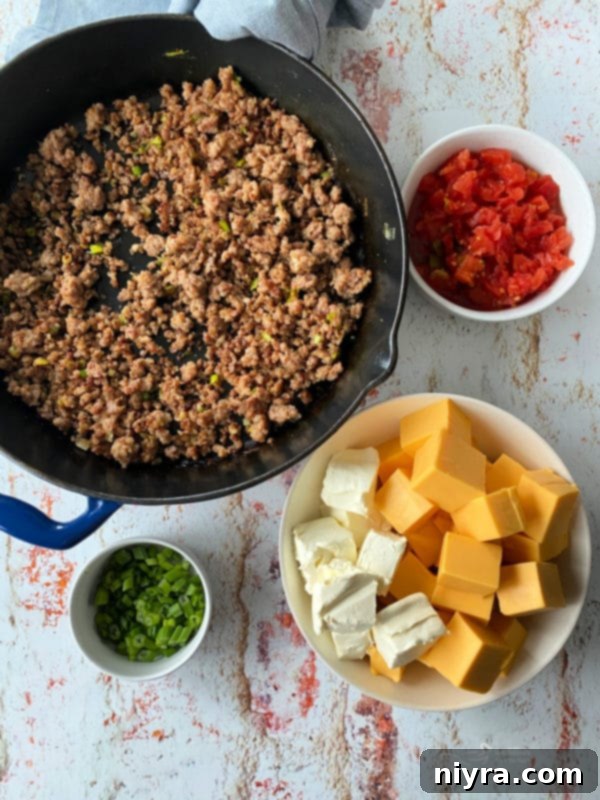 Ultimate Sausage Cheese Dip 3 Sausage Cheese Dip garnished with green onions and ready to serve