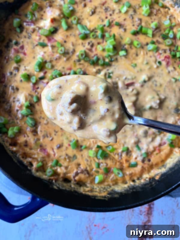 Ultimate Sausage Cheese Dip 6 Hot and smooth Sausage Cheese Dip with green onion garnish