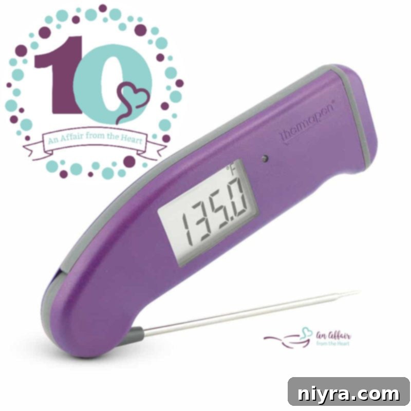 Thermapen Mk4 Instant Read Thermometer in purple