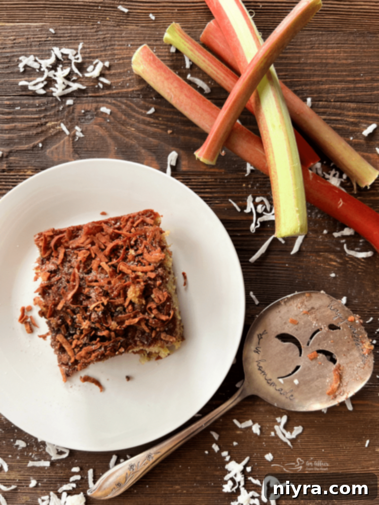 Sweet and Tart Rhubarb Bliss 7 A close-up of the rhubarb cake topping, showing coconut and cinnamon.