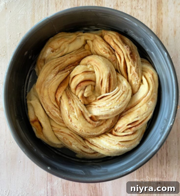 Bloomed Russian Delight 13 Step-by-step photo showing the coiled dough placed in a springform pan.