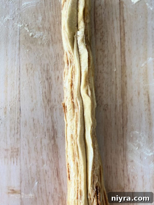 Bloomed Russian Delight 10 Step-by-step photo showing the cinnamon-filled dough rolled into a long tube.