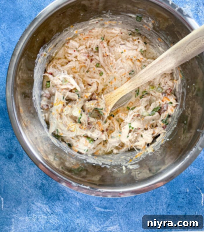 Chicken, cream cheese, green onions, bacon, chicken broth, chicken, and ranch dressing mix mixed together