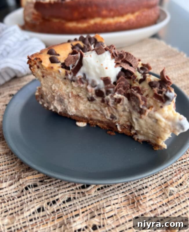 Close-up view of a perfectly sliced Irish Cream Cheesecake, showing the smooth filling and chocolate crust