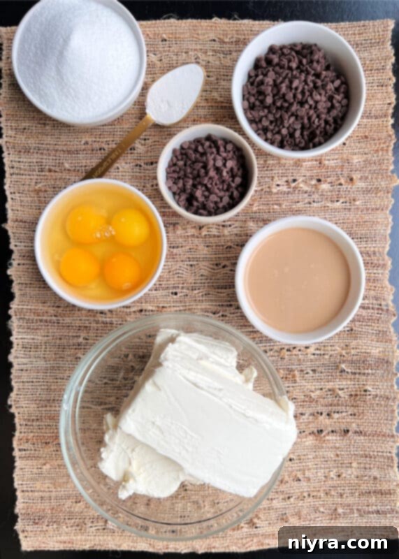 Close-up of cream cheese and Bailey's Irish Cream, key ingredients for the cheesecake filling