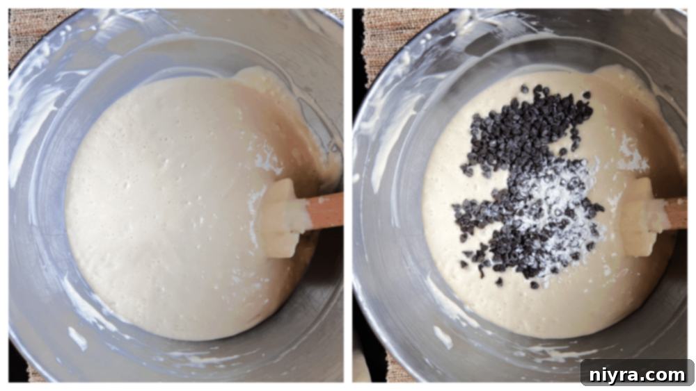 The chocolate graham cracker crust firmly pressed into the bottom of a springform pan