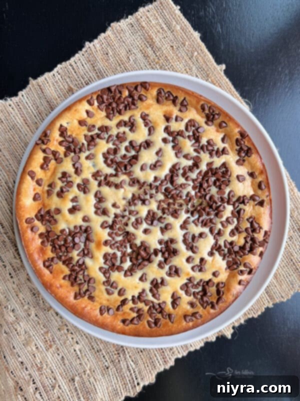 Freshly baked Irish Cream Cheesecake, golden brown on top, just removed from the oven
