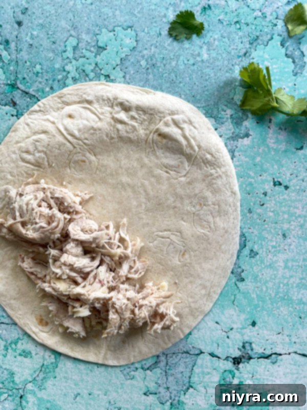 Shredded chicken on one half of tortilla
