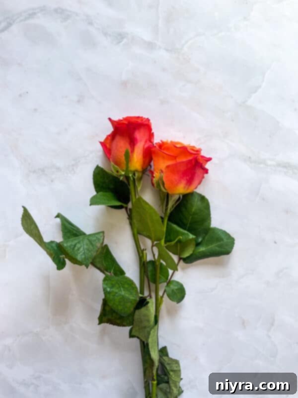 Rose Sangria in a rustic setting with flowers